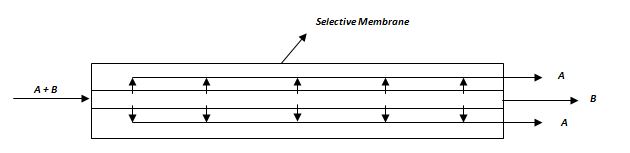 fig1